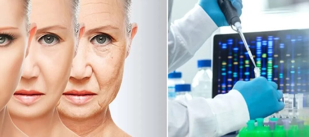 como-la-terapia-genica-podria-ralentizar-el-envejecimiento