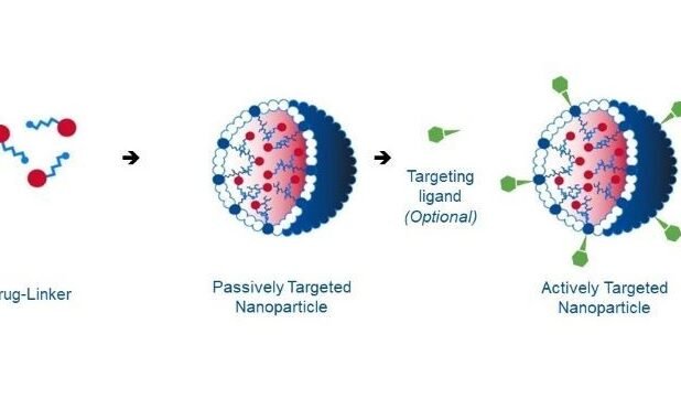 como-las-nanoparticulas-polimericas-biodegradables-mejoran-la-quimioterapia