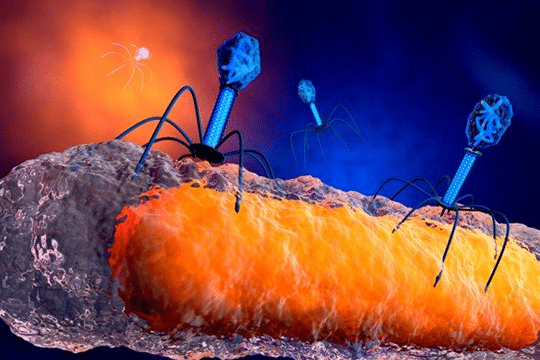 como-los-virus-bacteriofagos-pueden-sustituir-a-los-conservantes-alimentarios