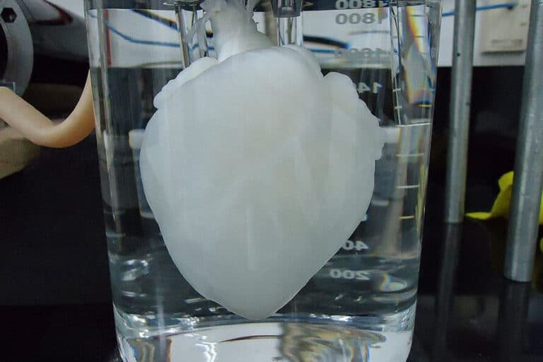 como-se-fabrican-andamios-oseos-biodegradables