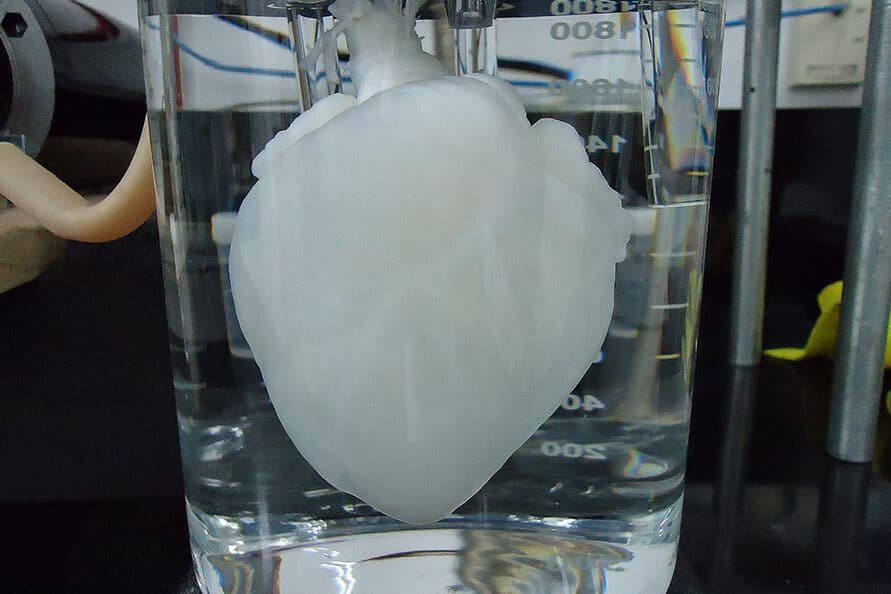 como-se-fabrican-andamios-oseos-biodegradables