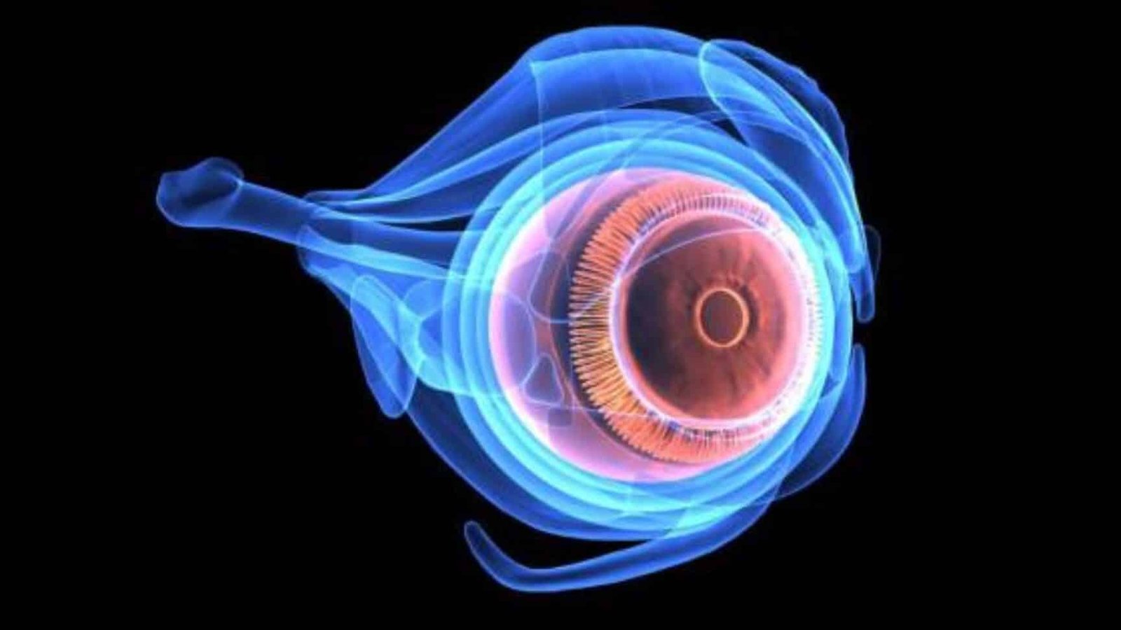 corneas-biosinteticas-de-colageno-recombinante