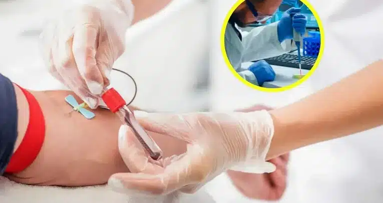 el-desarrollo-de-sangre-sintetica-universal-y-segura