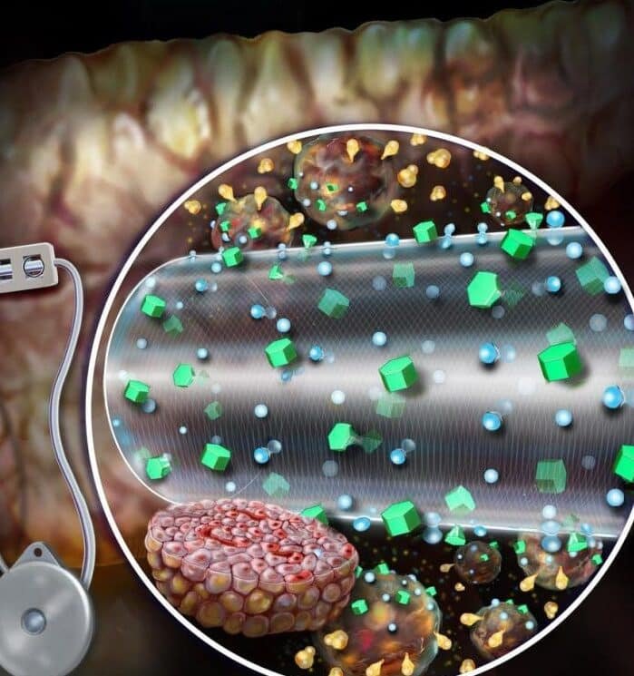 el-desarrollo-de-un-pancreas-bioartificial-implantable