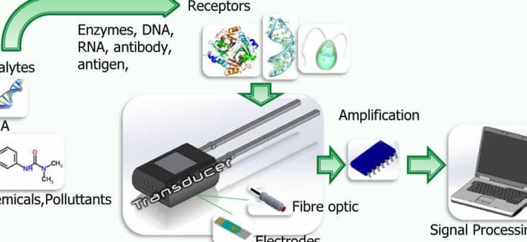 el-futuro-de-los-biosensores-ingeribles-para-diagnostico