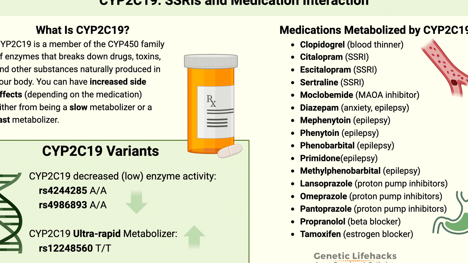 el-gen-cyp2c19-y-su-impacto-en-antidepresivos-y-antiplaquetarios