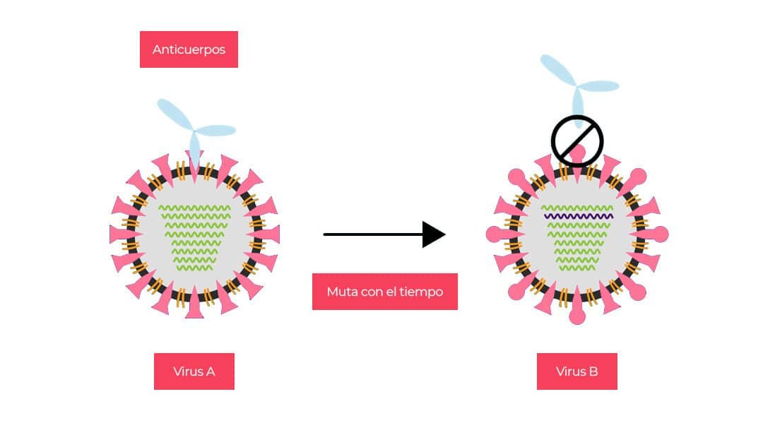 el-impacto-de-los-genes-en-la-eficacia-de-la-vacuna-contra-la-gripe