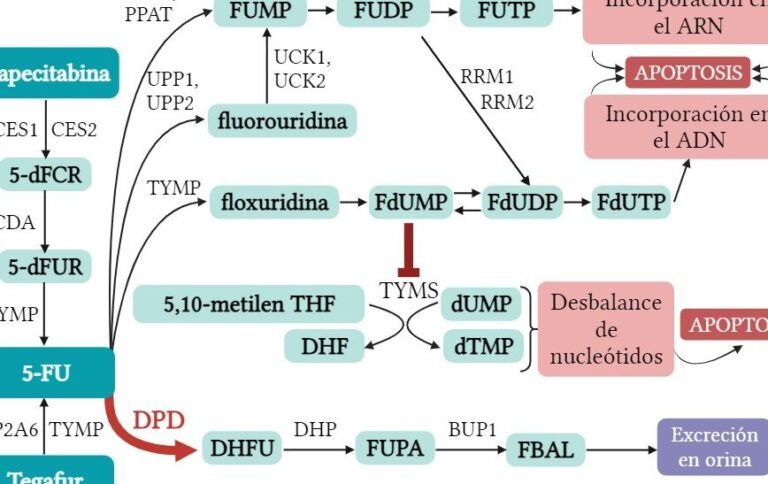 el-impacto-del-gen-dpyd-en-la-toxicidad-de-la-quimioterapia-5-fu