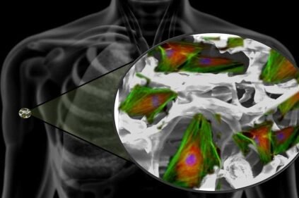 el-papel-de-la-nanotecnologia-en-la-ingenieria-de-tejidos-oseos