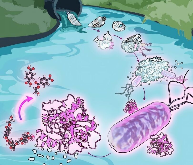 el-papel-de-los-microorganismos-en-la-degradacion-de-farmacos-en-aguas-residuales