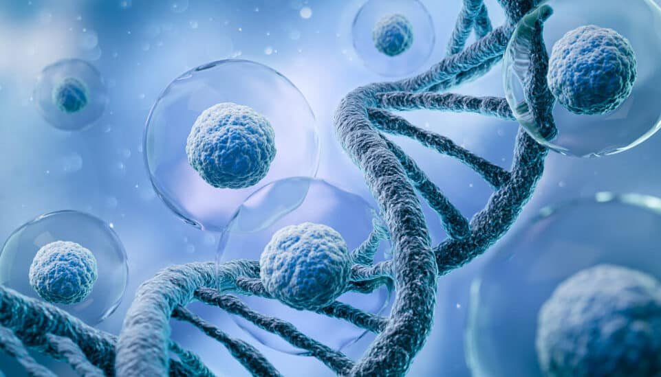 el-papel-de-los-virus-endogenos-en-la-evolucion-de-la-placenta-humana