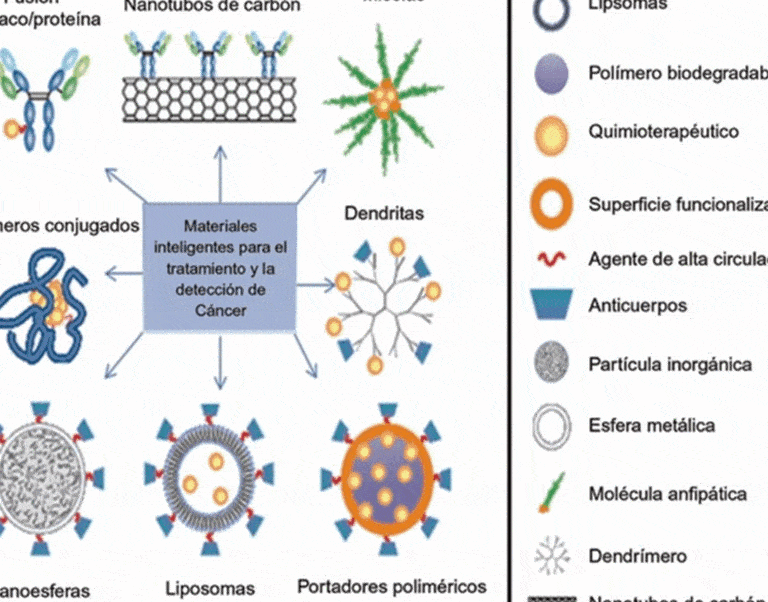 el-uso-de-micelas-polimericas-en-el-tratamiento-de-tumores-solidos