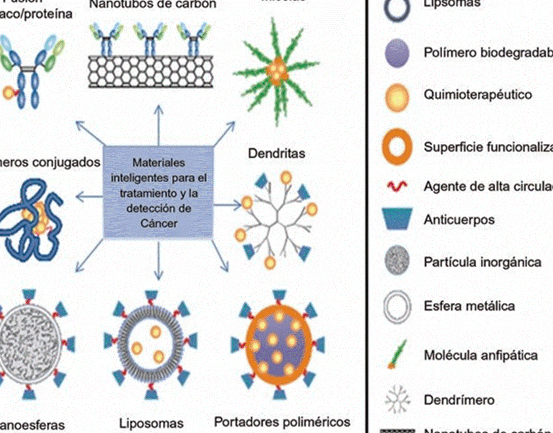 el-uso-de-micelas-polimericas-en-el-tratamiento-de-tumores-solidos