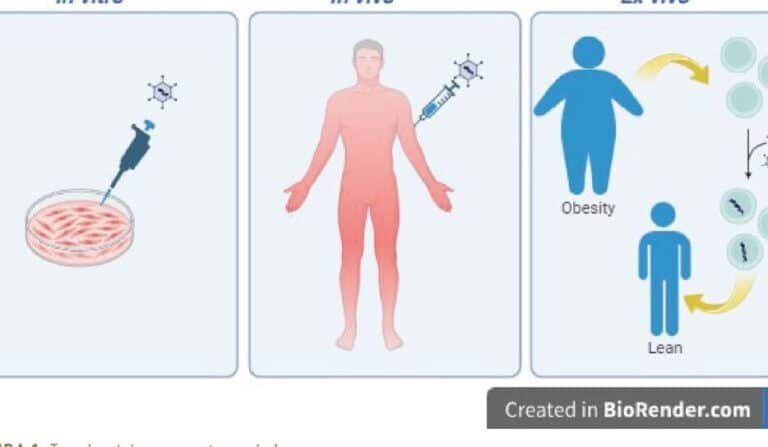 farmacogenomica-en-el-tratamiento-de-la-diabetes-tipo-2