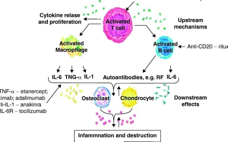 farmacogenomica-y-el-tratamiento-de-la-artritis-reumatoide