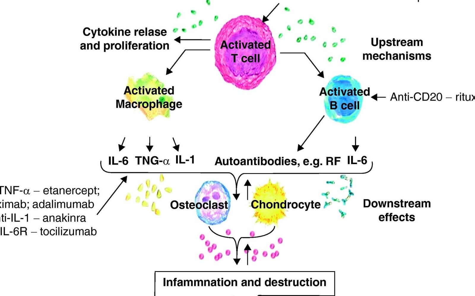 farmacogenomica-y-el-tratamiento-de-la-artritis-reumatoide