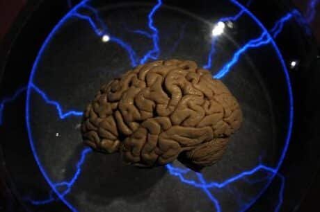 implantes-cerebrales-para-restaurar-la-memoria-ficcion-o-realidad