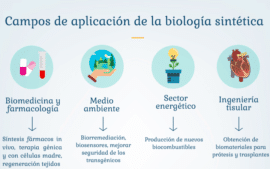 la-biologia-sintetica-y-la-creacion-de-vida-artificial-minima