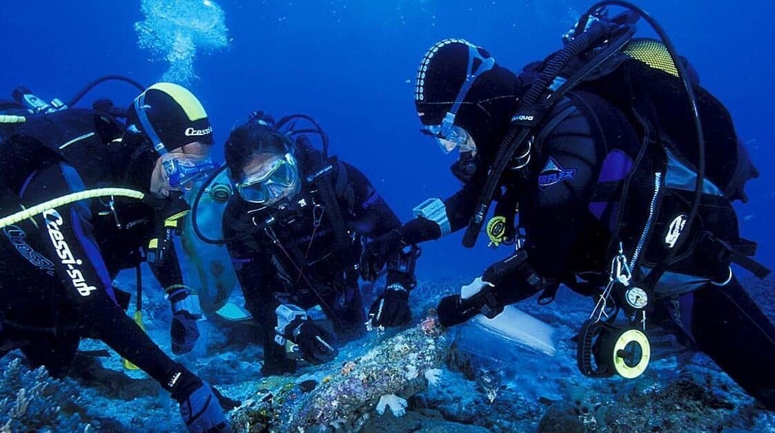 la-biotecnologia-azul-farmacos-del-fondo-del-mar