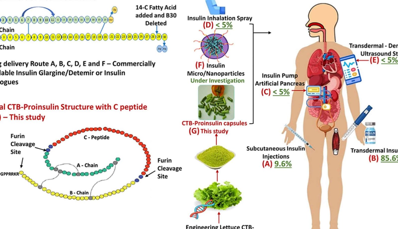 la-biotecnologia-detras-de-la-produccion-de-insulina-en-plantas-de-cartamo