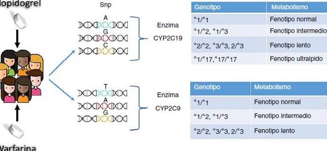 la-influencia-del-gen-cyp2c9-en-la-dosis-de-anticoagulantes