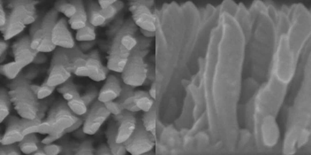 nanocubiertas-antibacterianas-para-implantes-de-titanio