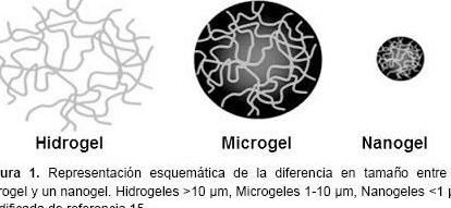 nanogeles-la-nueva-forma-de-administrar-antiinflamatorios