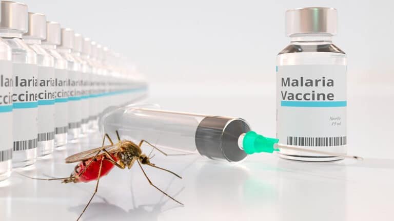 nanomedicina-aplicada-a-la-lucha-contra-la-malaria-resistente