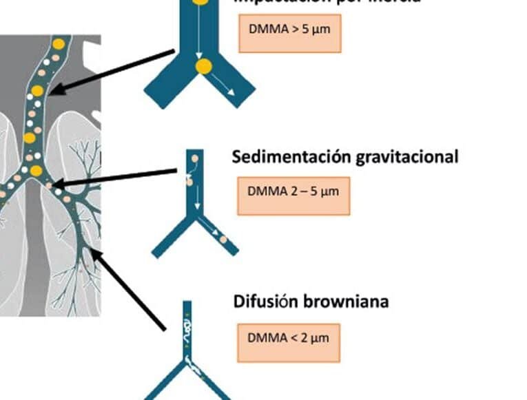 nanomedicina-para-el-tratamiento-de-la-fibrosis-quistica