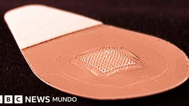 nanoparches-con-microagujas-para-vacunacion-indolora