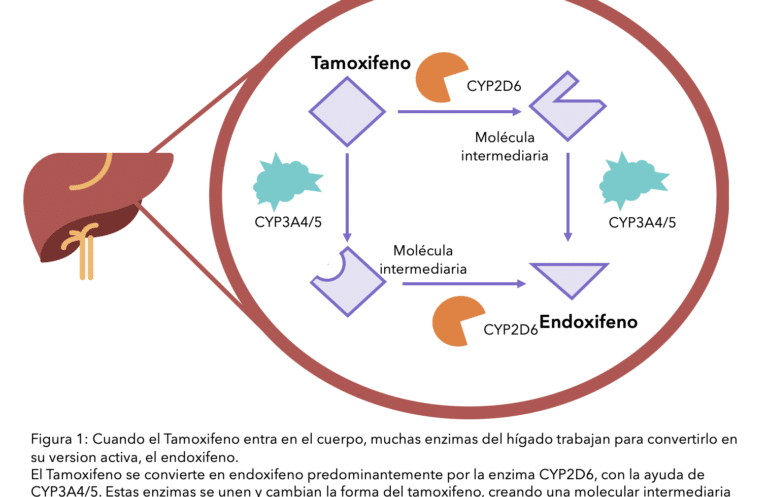 por-que-el-tamoxifeno-no-funciona-igual-en-todas-las-mujeres