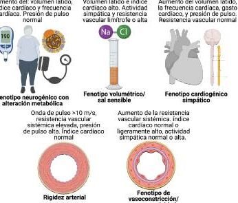 por-que-la-etnia-influye-en-la-respuesta-a-los-farmacos-antihipertensivos