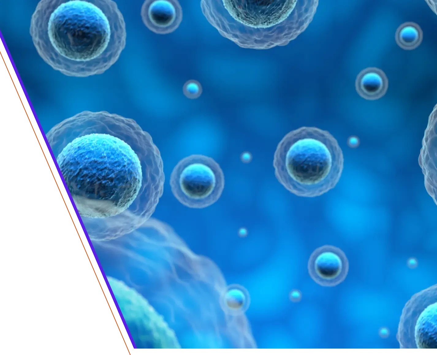 retos-de-fabricacion-y-escala-en-terapias-celulares