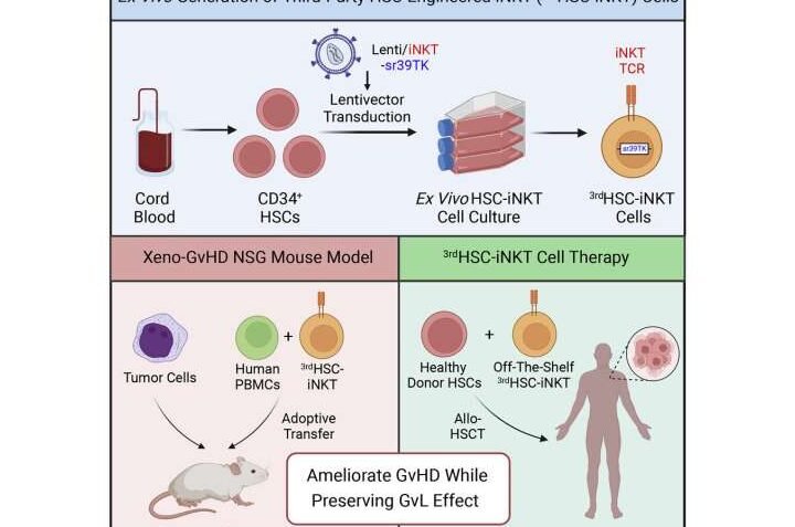 terapia-celular-para-la-enfermedad-de-injerto-contra-huesped