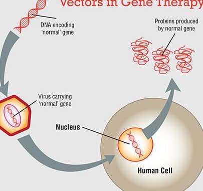 terapia-genica-para-la-enfermedad-de-stargardt