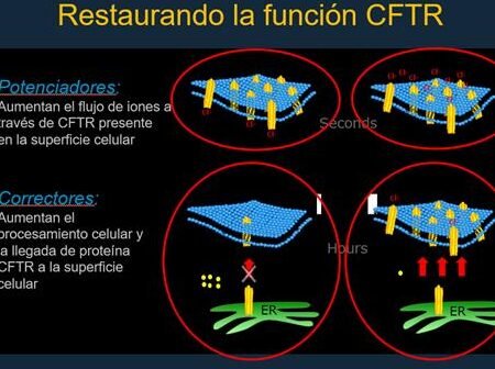 terapia-genica-para-la-fibrosis-quistica-retos-y-avances