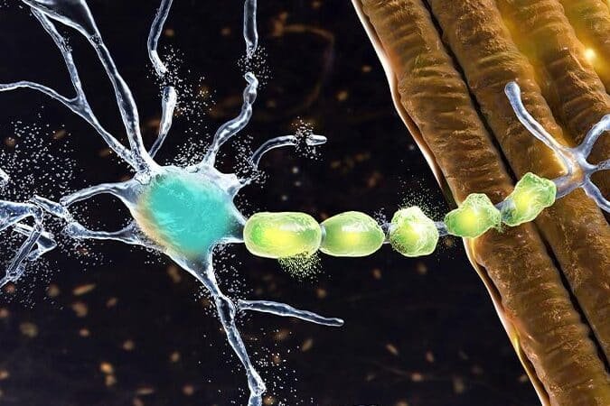 terapias-avanzadas-para-la-esclerosis-lateral-amiotrofica-ela