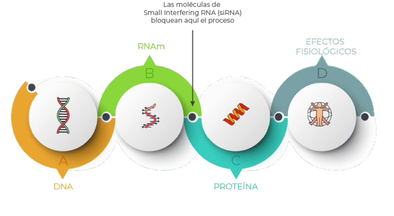terapias-de-arn-pequeno-de-interferencia-sirna-aprobadas