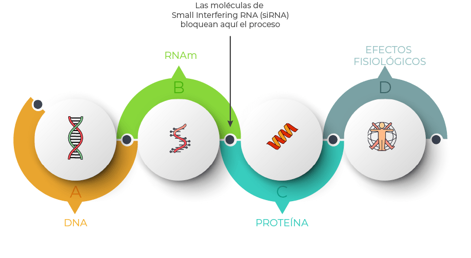 terapias-de-arn-pequeno-de-interferencia-sirna-aprobadas
