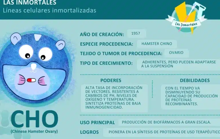 uso-de-celulas-de-hamster-cho-para-fabricar-la-mayoria-de-biofarmacos