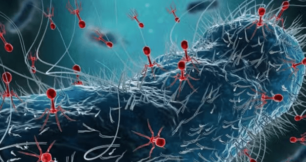 uso-de-fagos-modificados-para-tratar-el-acne-resistente-a-antibioticos
