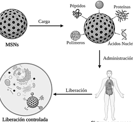 uso-de-nanoparticulas-de-silice-mesoporosa-para-entrega-de-genes
