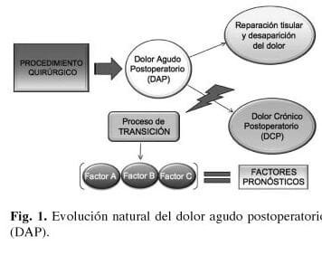 variabilidad-genetica-en-el-tratamiento-del-dolor-postoperatorio