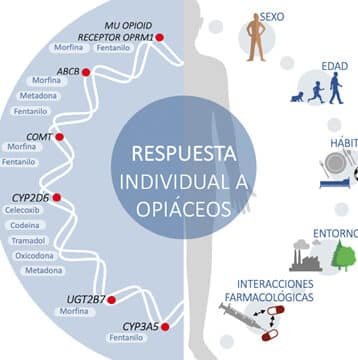 como-los-genes-afectan-la-respuesta-a-los-analgesicos-opioides