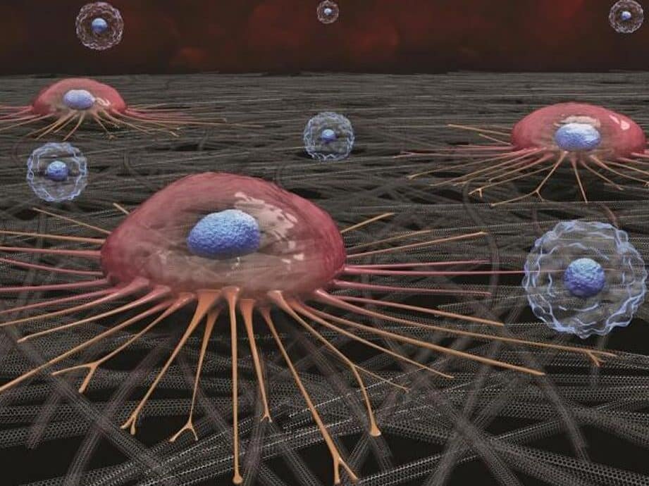 como-los-nanohilos-detectan-celulas-cancerigenas-circulantes