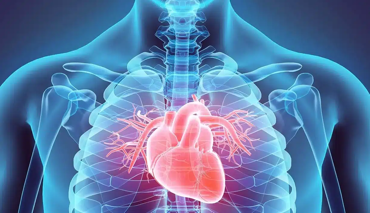 el-papel-de-la-nanotecnologia-en-la-ingenieria-de-tejidos-cardiacos