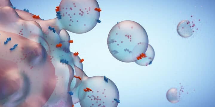 el-uso-de-exosomas-artificiales-como-nanotransportadores