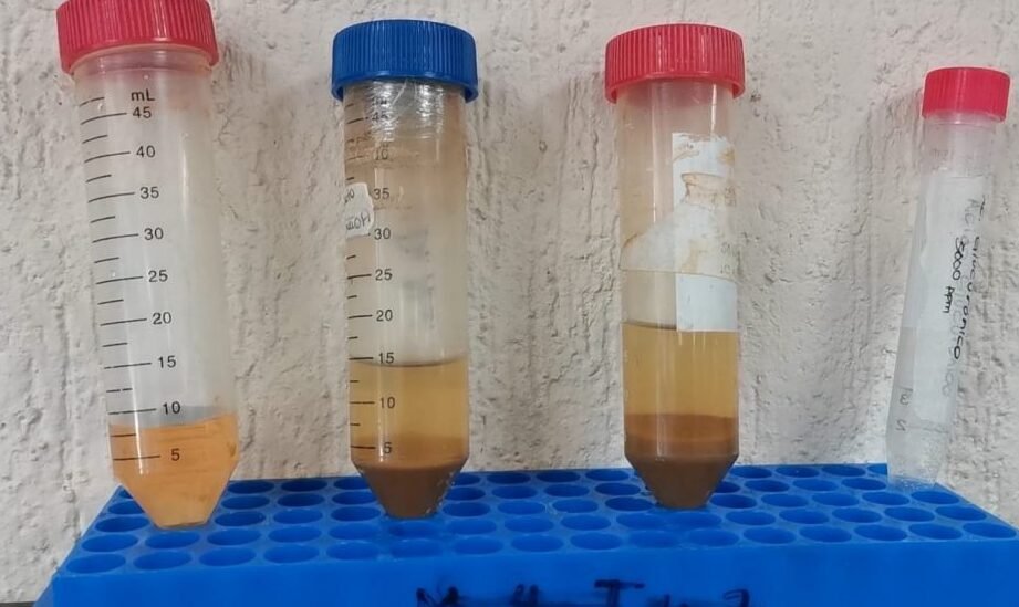 el-uso-de-nanoparticulas-de-hierro-para-tratar-la-anemia-ferropenica