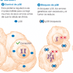 farmacogenomica-del-cancer-tratamientos-segun-el-adn-del-tumor