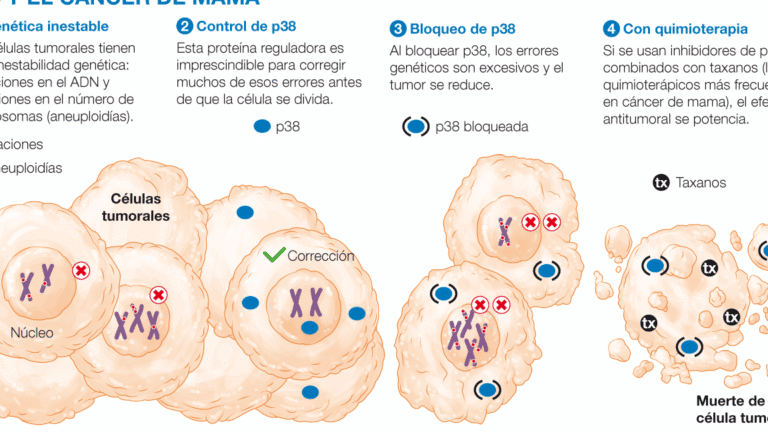 farmacogenomica-del-cancer-tratamientos-segun-el-adn-del-tumor